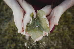 Engagement Pictures at Arundel Winery