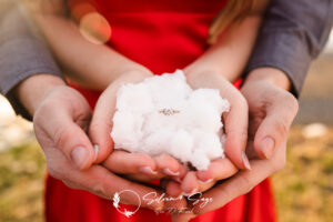 Winter Engagement Photos - Engagement Photographers - Silver & Sage Studios - Engagement Photography - Erie PA